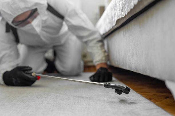 Professional Bed Bug Control technician working in York County County, SC